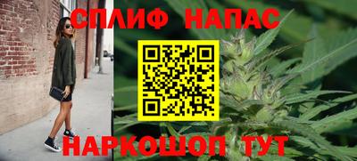 индика Шахты