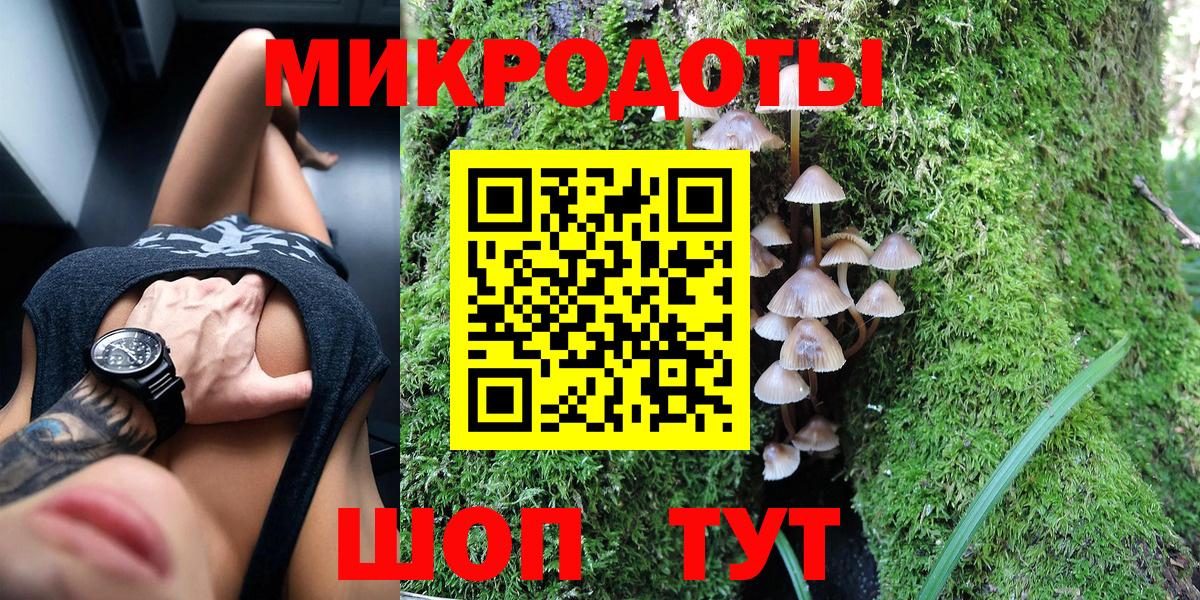 Галлюциногенные грибы Psilocybe Богданович