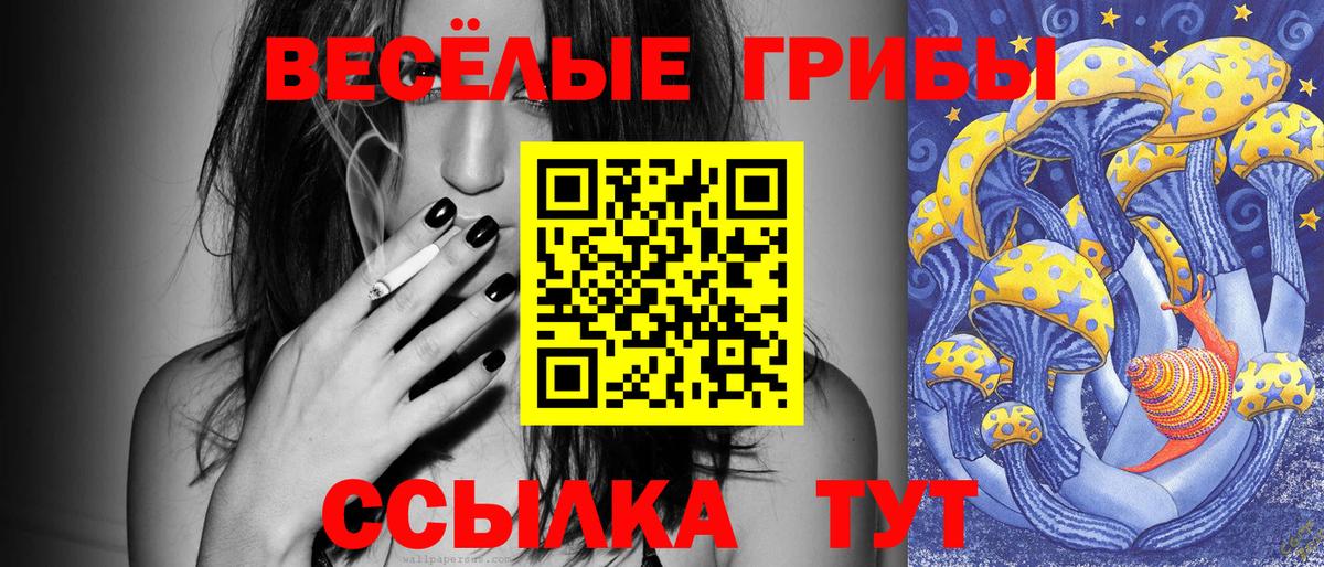 цена наркотик  Вход с VPN  Богданович  Галлюциногенные грибы мухоморы 
